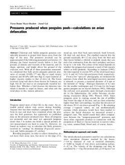 Pressures produced when penguins pooh&mdash;calculations on avian