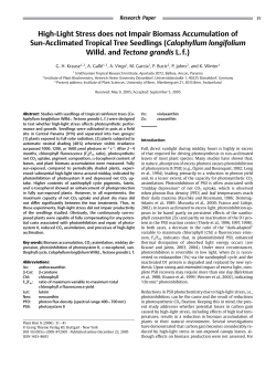 High-Light Stress does not Impair Biomass Accumulation of Sun
