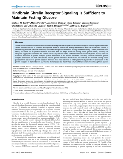 Hindbrain Ghrelin Receptor Signaling Is Sufficient to