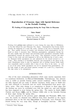 Reproduction of Ulvaceous Algae with Special Reference to the