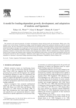A model for loading-dependent growth, development