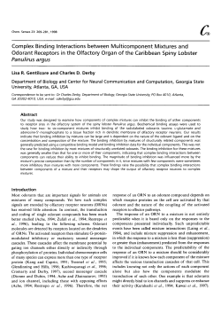 Complex Binding Interactions between Multicomponent Mixtures