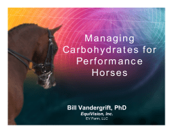 Managing Carbohydrates for Performance Horses