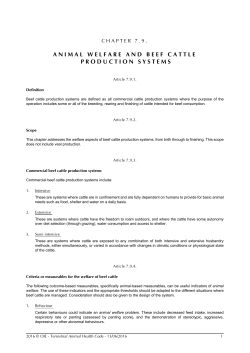 animal welfare and beef cattle production systems