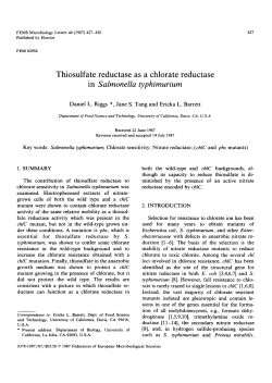 Thiosulfate reductase as a chlorate reductase in Salmonella
