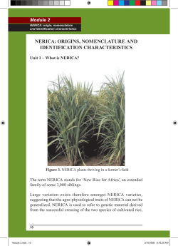 NERICA: ORIGINS, NOMENCLATURE AND