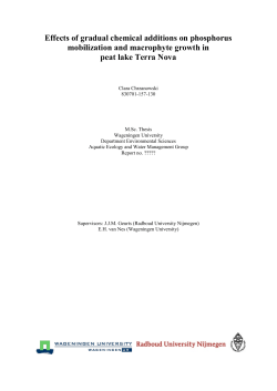Effects of gradual chemical additions on phosphorus mobilization