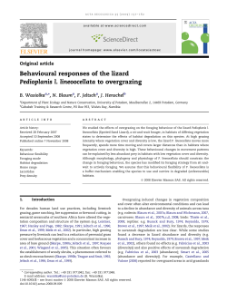 Behavioural responses of the lizard Pedioplanis l