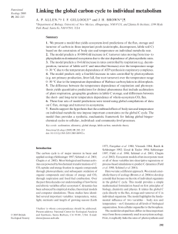 Linking the global carbon cycle to individual metabolism