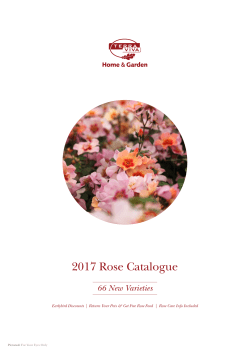 Rose Catalogue