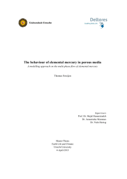 The behaviour of elemental mercury in porous media