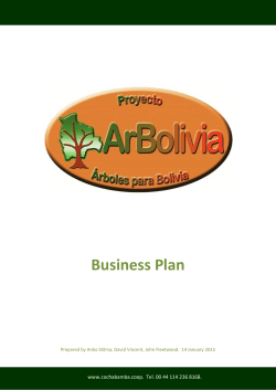 Business Plan