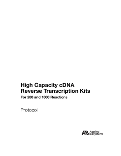 High-Capacity cDNA Reverse Transcription Kits Protocol