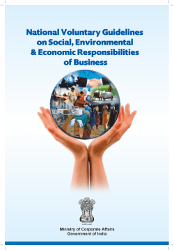 National Voluntary Guidelines