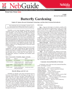 Butterfly Gardening - University of Nebraska–Lincoln