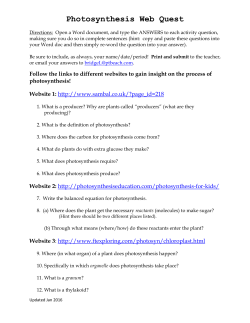 Photosynthesis Web Quest