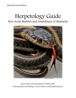 Herpetology Guide