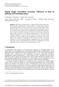 Digital Image Correlation accuracy: influence of kind of speckle and