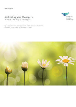 Motivating Your Managers What`s the Right Strategy?