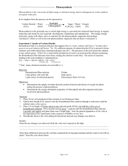 Photosynthesis Sunlight Chlorophyll