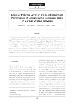Effect of Polymer Layer on the Electrochemical Performance of