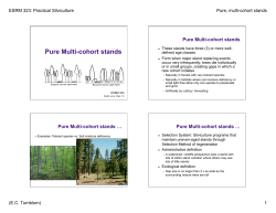 Pure Multi-cohort stands
