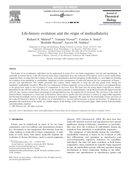 Life-history evolution and the origin of multicellularity