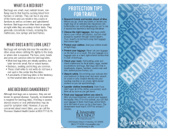 Bed Bugs - University Housing