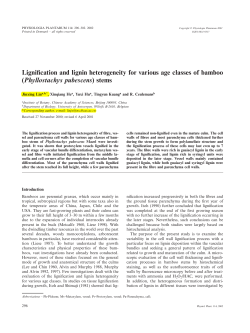 Lignification and lignin heterogeneity for various age classes of