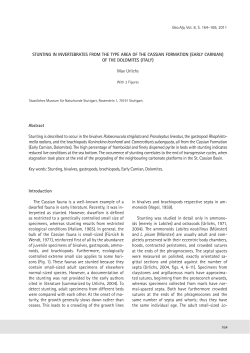 STUNTING IN INVERTEBRATES FROM THE TYPE AREA OF THE