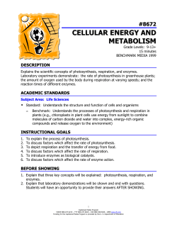 cellular energy and metabolism - The Described and Captioned