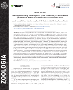 Feeding behavior by hummingbirds (Aves: Trochilidae) in
