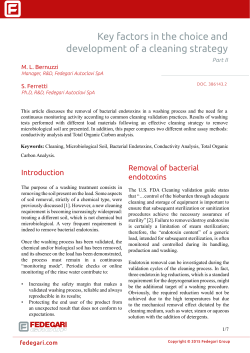 Key factors in the choice and development of a cleaning