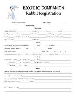 New Rabbit Form