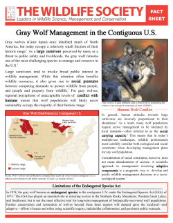 Gray Wolf Management in the Contiguous US