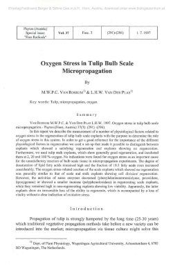 Oxygen Stress in Tulip Bulb Scale Micropropagation