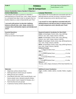 FOSSIL Lesson 1