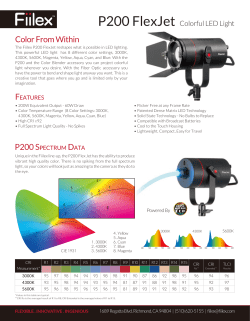 P200 Data Sheet