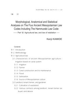 Morphological, Anatomical and Statistical Analyses on The Four