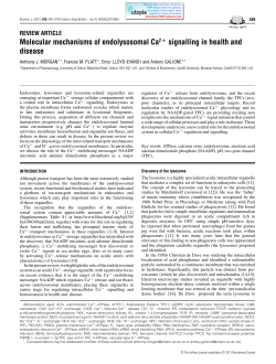Molecular mechanisms of endolysosomal Ca2 + signalling in health