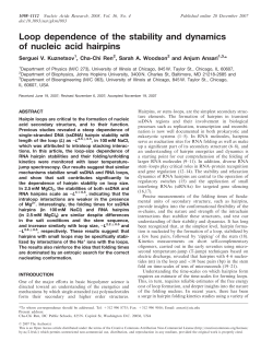 Loop dependence of the stability and dynamics of nucleic acid