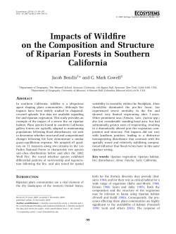 Impacts of Wildfire on the Composition and Structure of Riparian
