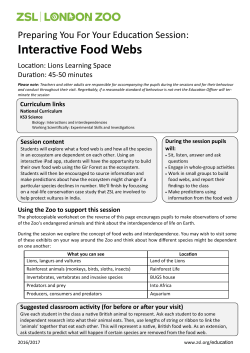 Interactive Food Webs
