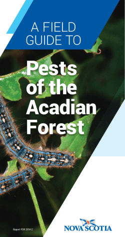 Pests of the Acadian Forest