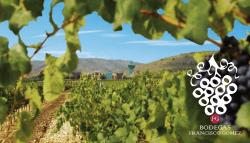 tradition revolution - Bodegas Francisco Gomez