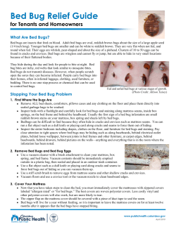 Bed Bug Relief Guide