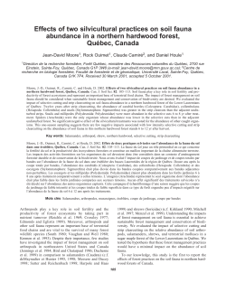Effects of two silvicultural practices on soil fauna abundance in a