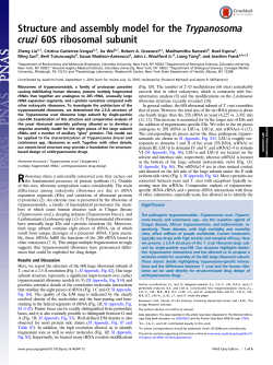 Structure and assembly model for the Trypanosoma