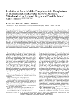 Evolution of Bacterial-Like Phosphoprotein