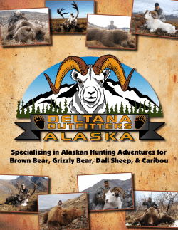 Specializing in Alaskan Hunting Adventures for Brown Bear, Grizzly